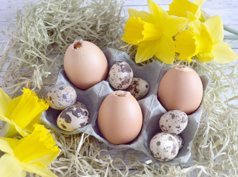 Muffin-Easter-Egg-Kuchen-im-Osterei-Blog-Belle-Melange-Delicious-Recipe-Rezept-How-6